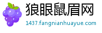 狼眼鼠眉网